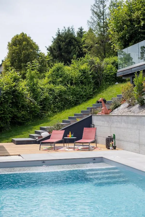 LA Villa Du Lac Annecy